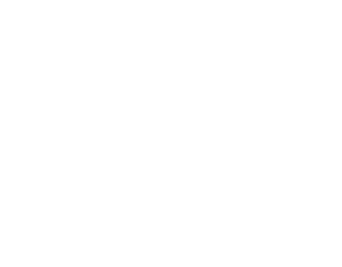 logo-plenus